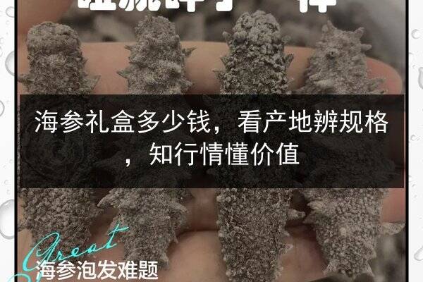 海参礼盒多少钱,看产地辨规格,知行情懂价值