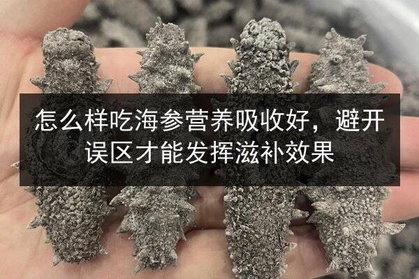怎么样吃海参营养吸收好,避开误区才能发挥滋补效果