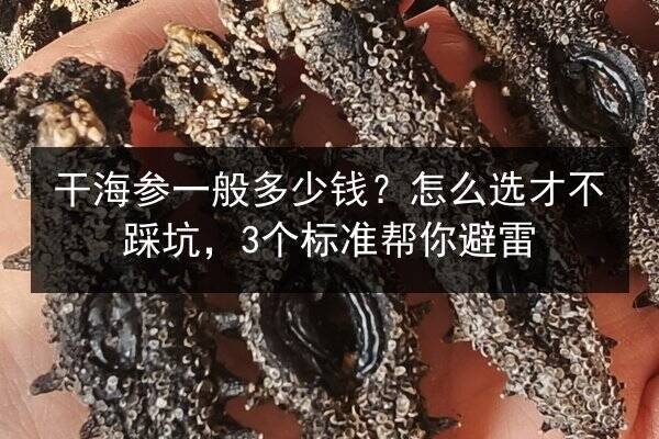 干海参一般多少钱？怎么选才不踩坑，3个标准帮你避雷