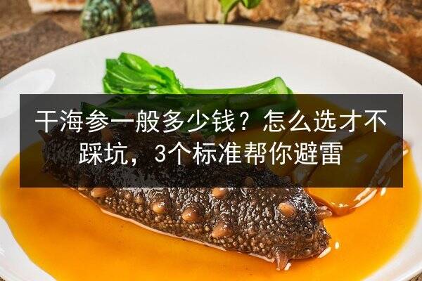 干海参一般多少钱？怎么选才不踩坑，3个标准帮你避雷