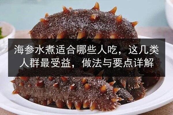 海参水煮适合哪些人吃,这几类人群最受益,做法与要点详解