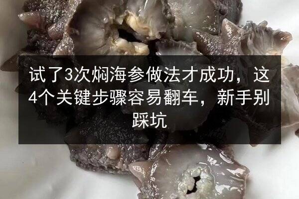 试了3次焖海参做法才成功,这4个关键步骤容易翻车,新手别踩坑