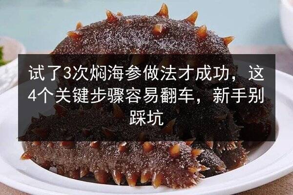 试了3次焖海参做法才成功,这4个关键步骤容易翻车,新手别踩坑