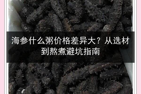海参什么粥价格差异大？从选材到熬煮避坑指南
