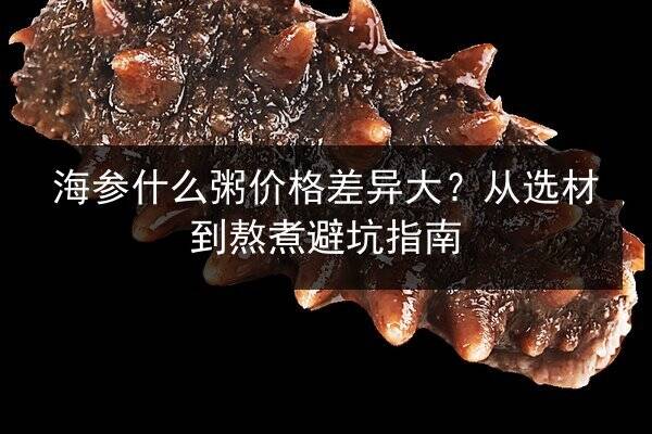 海参什么粥价格差异大？从选材到熬煮避坑指南