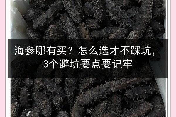 海参哪有买?怎么选才不踩坑,3个避坑要点要记牢