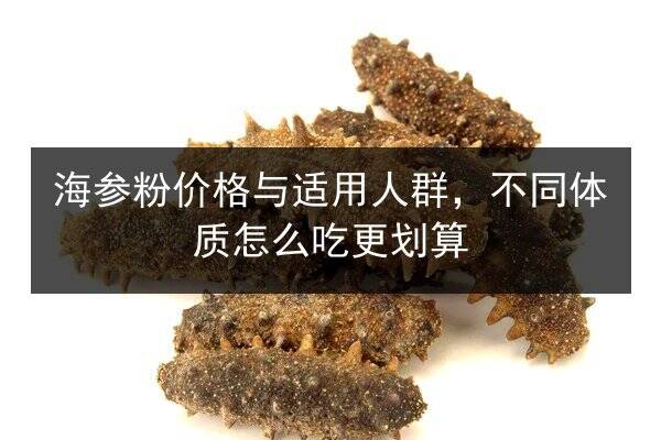 海参粉价格与适用人群,不同体质怎么吃更划算