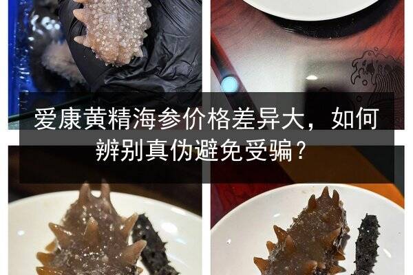 爱康黄精海参价格差异大,如何辨别真伪避免受骗?