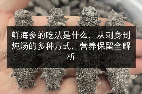 鲜海参的吃法是什么，从刺身到炖汤的多种方式，营养保留全解析