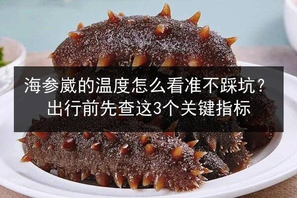 海参崴的温度怎么看准不踩坑?出行前先查这3个关键指标