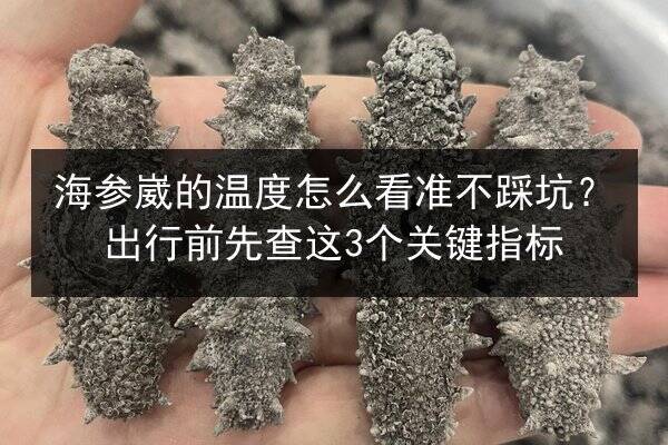 海参崴的温度怎么看准不踩坑?出行前先查这3个关键指标