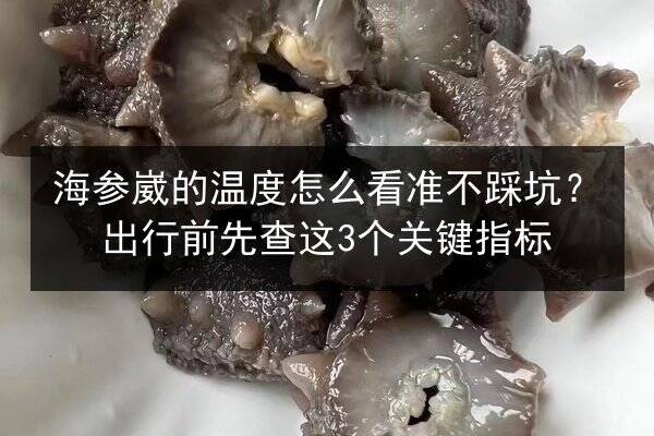海参崴的温度怎么看准不踩坑?出行前先查这3个关键指标