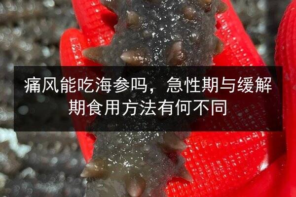 痛风能吃海参吗,急性期与缓解期食用方法有何不同