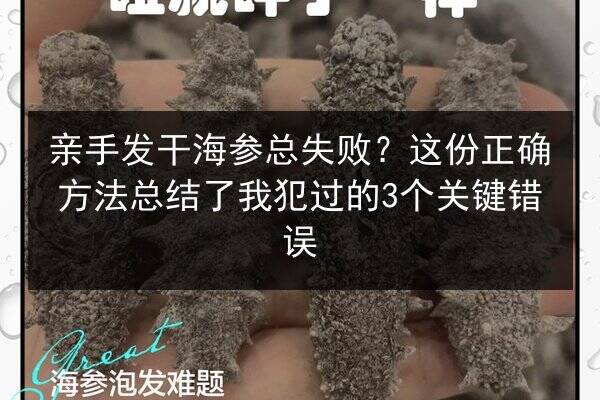 亲手发干海参总失败?这份正确方法总结了我犯过的3个关键错误