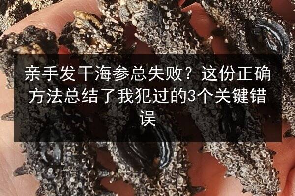 亲手发干海参总失败?这份正确方法总结了我犯过的3个关键错误