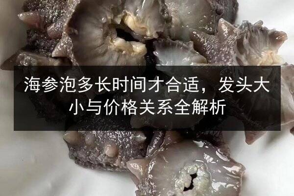 海参泡多长时间才合适,发头大小与价格关系全解析