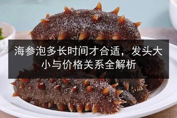 海参泡多长时间才合适,发头大小与价格关系全解析