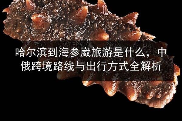 哈尔滨到海参崴旅游是什么,中俄跨境路线与出行方式全解析