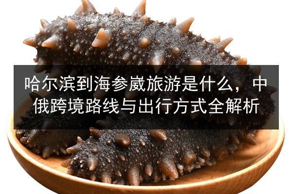 哈尔滨到海参崴旅游是什么,中俄跨境路线与出行方式全解析