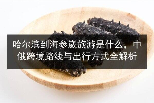 哈尔滨到海参崴旅游是什么,中俄跨境路线与出行方式全解析