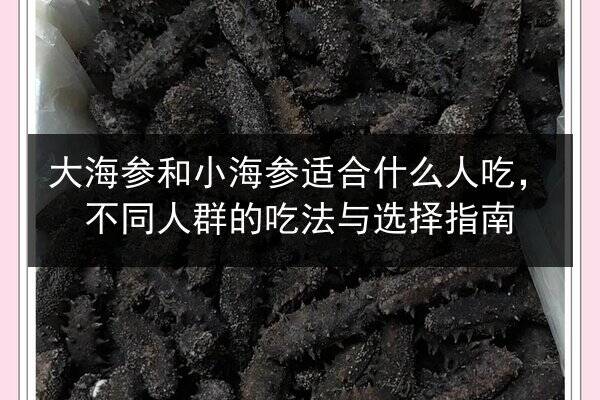 大海参和小海参适合什么人吃,不同人群的吃法与选择指南