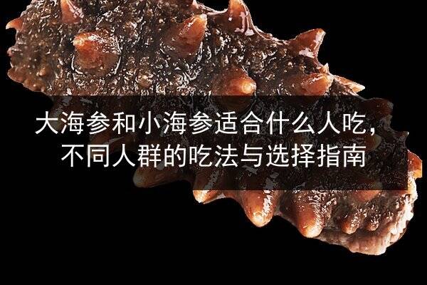 大海参和小海参适合什么人吃,不同人群的吃法与选择指南