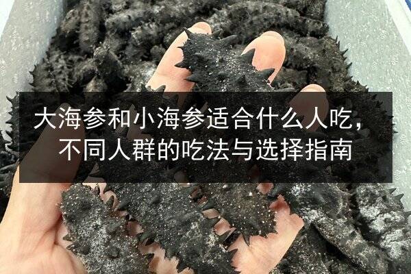 大海参和小海参适合什么人吃,不同人群的吃法与选择指南