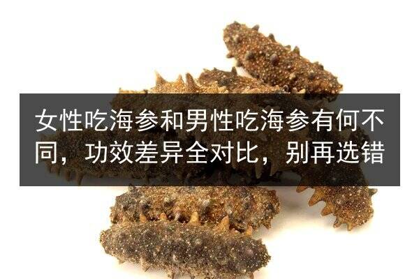 女性吃海参和男性吃海参有何不同,功效差异全对比,别再选错