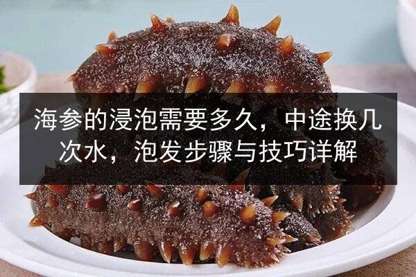 海参的浸泡需要多久，中途换几次水，泡发步骤与技巧详解