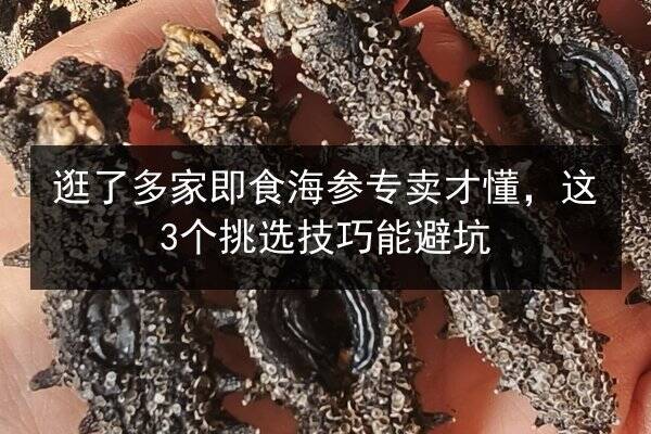 逛了多家即食海参专卖才懂,这3个挑选技巧能避坑