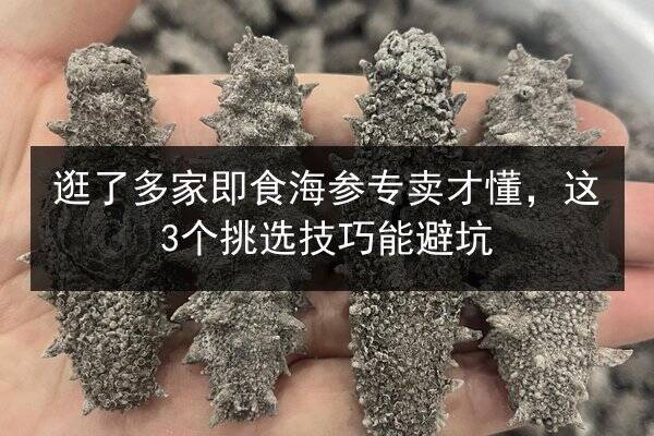 逛了多家即食海参专卖才懂,这3个挑选技巧能避坑