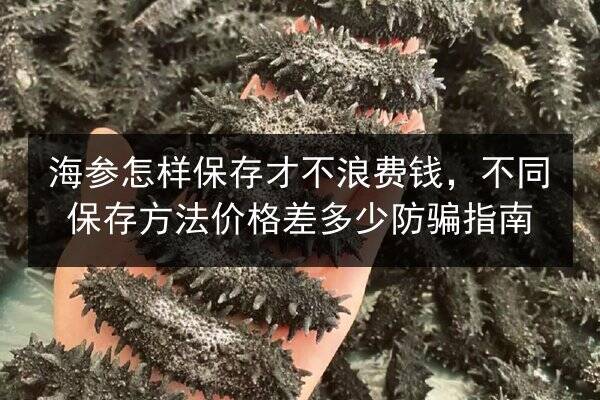 海参怎样保存才不浪费钱，不同保存方法价格差多少防骗指南