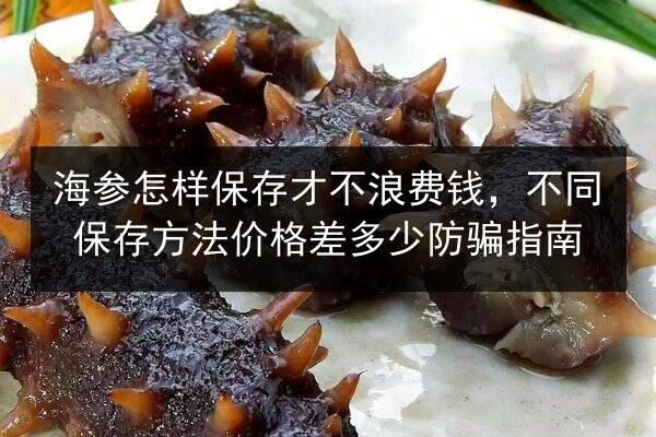 海参怎样保存才不浪费钱，不同保存方法价格差多少防骗指南