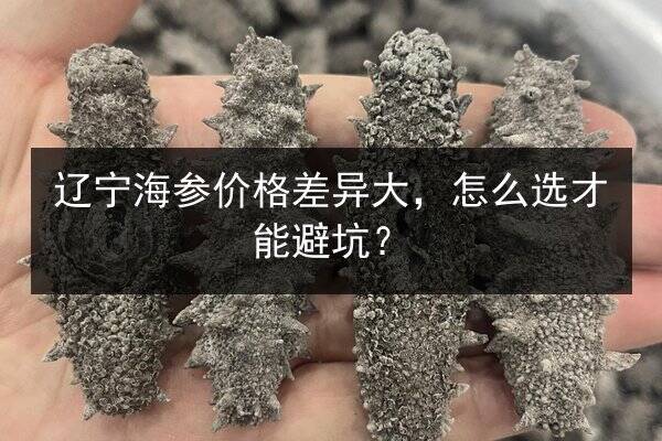辽宁海参价格差异大，怎么选才能避坑？