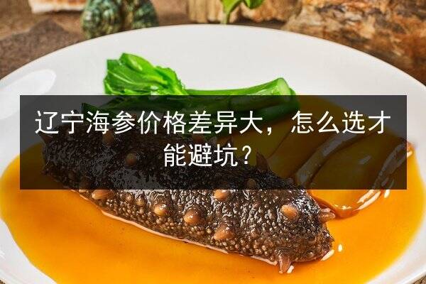 辽宁海参价格差异大，怎么选才能避坑？