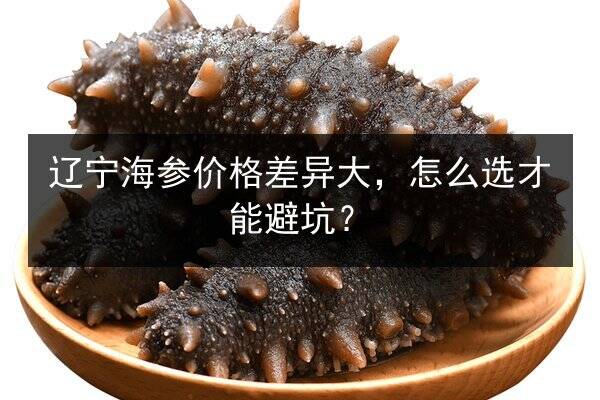 辽宁海参价格差异大，怎么选才能避坑？