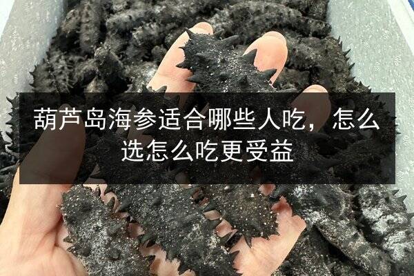 葫芦岛海参适合哪些人吃,怎么选怎么吃更受益