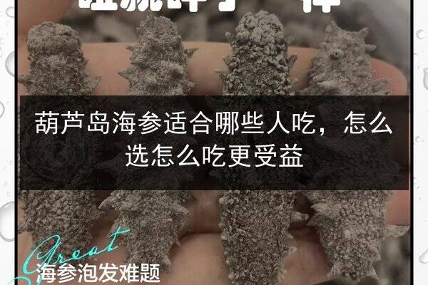葫芦岛海参适合哪些人吃,怎么选怎么吃更受益