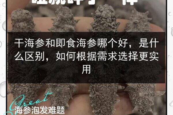干海参和即食海参哪个好，是什么区别，如何根据需求选择更实用