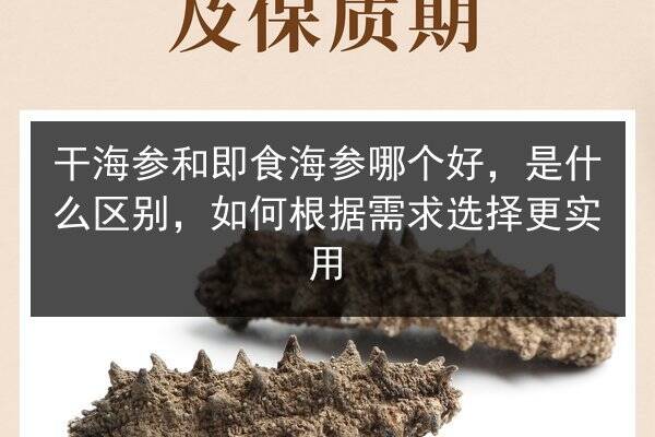 干海参和即食海参哪个好，是什么区别，如何根据需求选择更实用
