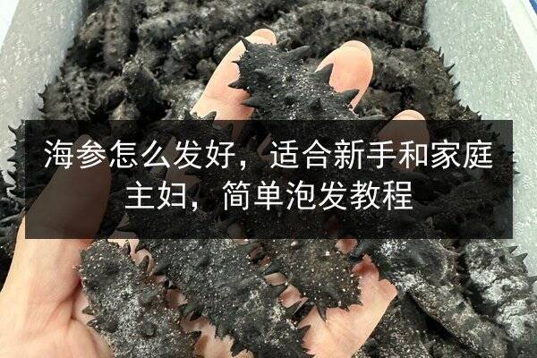 海参怎么发好,适合新手和家庭主妇,简单泡发教程