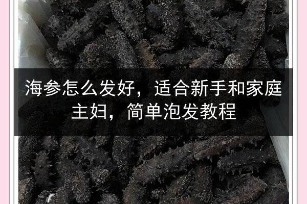 海参怎么发好,适合新手和家庭主妇,简单泡发教程