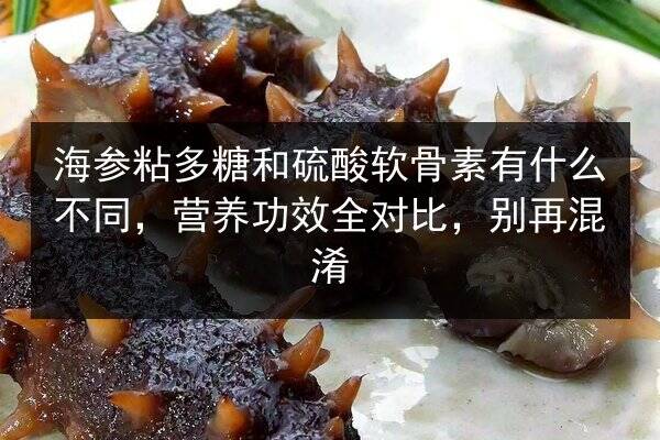 海参粘多糖和硫酸软骨素有什么不同,营养功效全对比,别再混淆