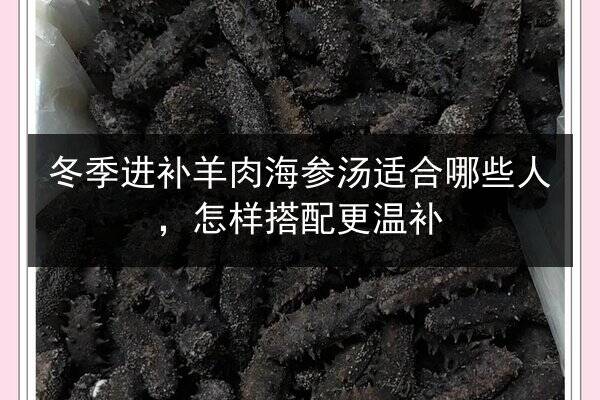 冬季进补羊肉海参汤适合哪些人，怎样搭配更温补