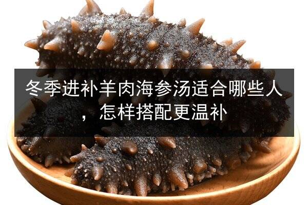 冬季进补羊肉海参汤适合哪些人，怎样搭配更温补