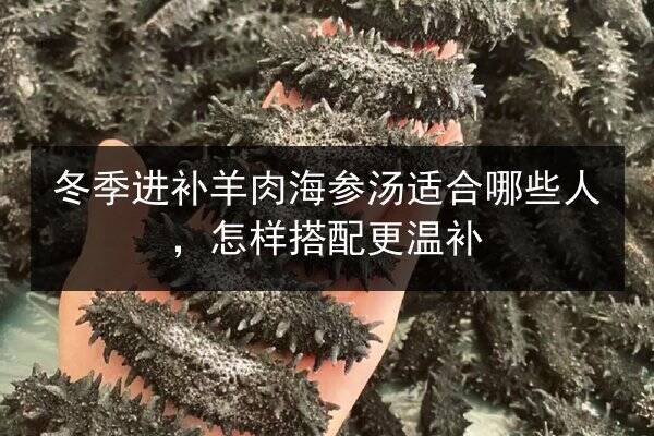 冬季进补羊肉海参汤适合哪些人，怎样搭配更温补