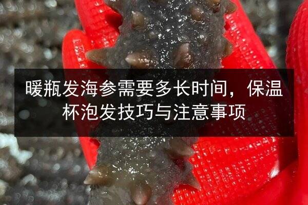 暖瓶发海参需要多长时间，保温杯泡发技巧与注意事项