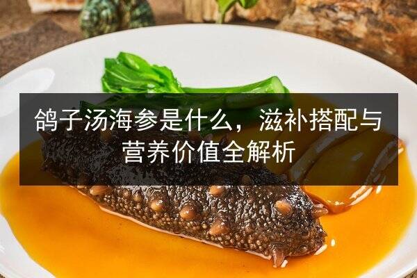 鸽子汤海参是什么,滋补搭配与营养价值全解析