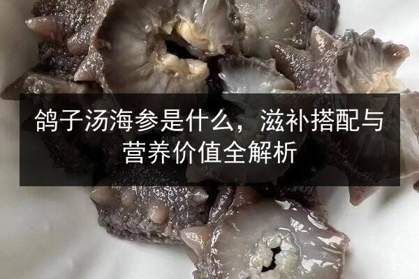 鸽子汤海参是什么,滋补搭配与营养价值全解析