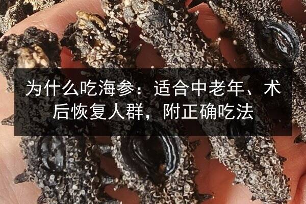 为什么吃海参:适合中老年、术后恢复人群,附正确吃法